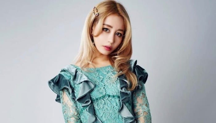 wengie cover